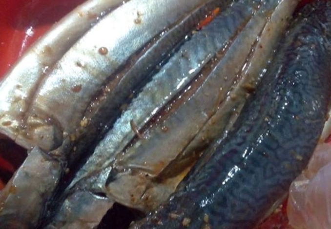 Cá nục hấp thịt cá được hấp chín mềm, ngọt thơm, béo bùi được thấm đều gia vị