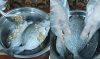 Cách chế biến món cá dìa hấp mồng tơi