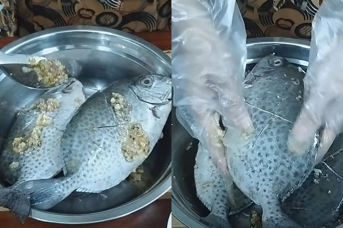 Cách chế biến món cá dìa hấp mồng tơi